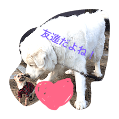 [LINEスタンプ] ジョリィ
