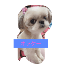 [LINEスタンプ] るぷ2