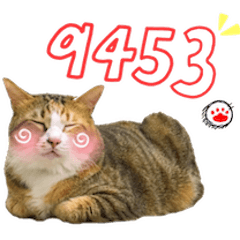 [LINEスタンプ] Fei Fei Meow