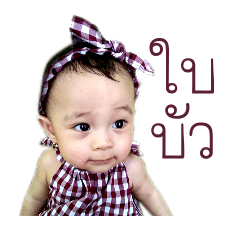 [LINEスタンプ] Nong Bai Bua