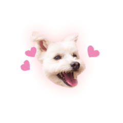 [LINEスタンプ] モカくんとその仲間たち
