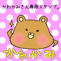 [LINEスタンプ] かわかみさん専用スタンプの画像（メイン）