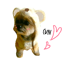 [LINEスタンプ] くまたそスタンプ2