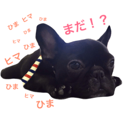 [LINEスタンプ] のあのスタンプ