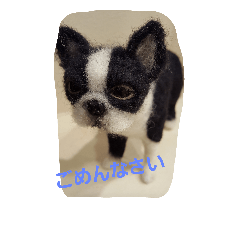 [LINEスタンプ] フェルトワンコつぶやく