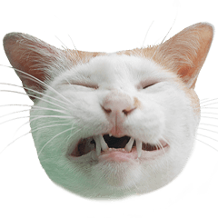 [LINEスタンプ] Cat_Lumpini park