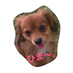 [LINEスタンプ] たらちゃん 1
