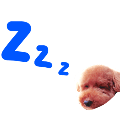 [LINEスタンプ] こたさんのいちにち