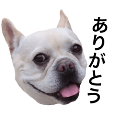 [LINEスタンプ] みんなのフクスケさん