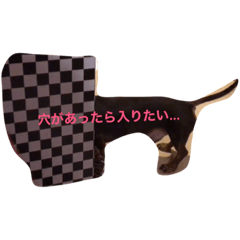 [LINEスタンプ] 愛犬ナッツの日常②