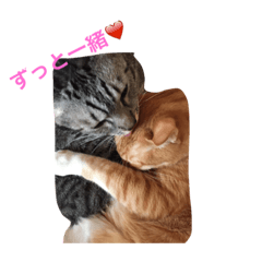 [LINEスタンプ] レオとココアからハートのメッセージ❤️