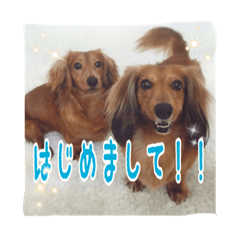 [LINEスタンプ] ほぉマック君