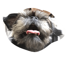 [LINEスタンプ] 二匹のわんこです