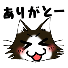 [LINEスタンプ] 挨拶スタンプ 猫マンガ仕様