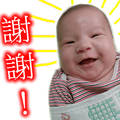 [LINEスタンプ] Little egg's lovely life 