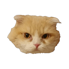 [LINEスタンプ] ぬけさくの日常1