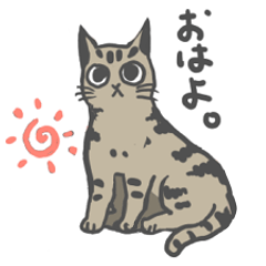 [LINEスタンプ] かおの小さなネコ