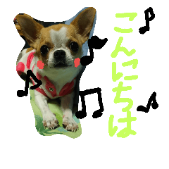 [LINEスタンプ] ︎チワマル
