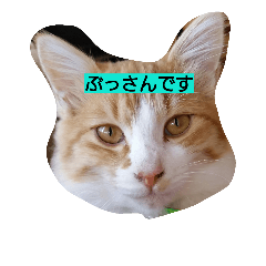 [LINEスタンプ] ぶっさんです