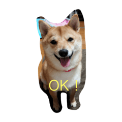 [LINEスタンプ] 豆柴.2