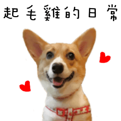 [LINEスタンプ] Cute doggy's day life.