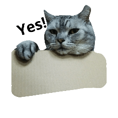 [LINEスタンプ] 我が家の猫スタ2