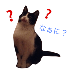[LINEスタンプ] 小川家ののんちゃん