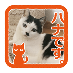 [LINEスタンプ] 猫に判子～ハナ～