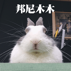[LINEスタンプ] Bunny Mumu (Chinese)
