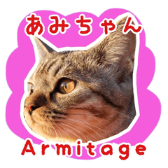 [LINEスタンプ] ねこのあみちゃん