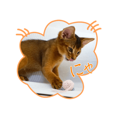 [LINEスタンプ] ゆけゆけアンジー