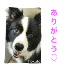 [LINEスタンプ] よく使うセリフ。