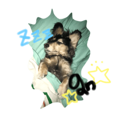 [LINEスタンプ] らむさんすたんぷ