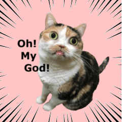 [LINEスタンプ] ぶさかわファビ子