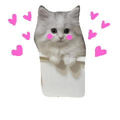 [LINEスタンプ] にゃんこわんこ