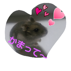 [LINEスタンプ] ハムスターLIFE