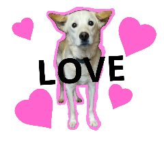 [LINEスタンプ] loveche No.1