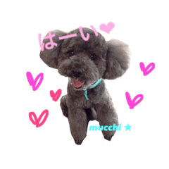 [LINEスタンプ] モップ犬ムッチー