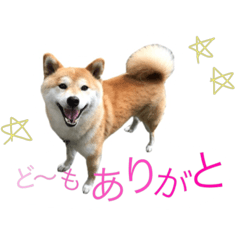[LINEスタンプ] もこな3