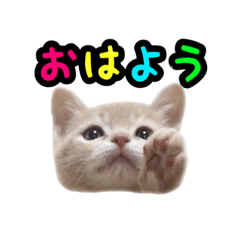 [LINEスタンプ] ミルのスタンプ