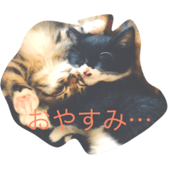 [LINEスタンプ] あめとそら