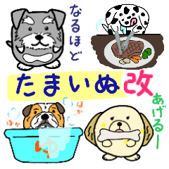 [LINEスタンプ] たまいぬ（改良版）