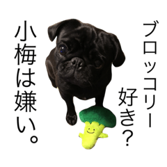 [LINEスタンプ] 小梅と小竹2