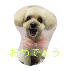 [LINEスタンプ] てぃー坊2