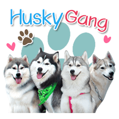 [LINEスタンプ] Husky Coffee Dog 3