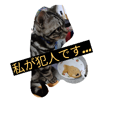 [LINEスタンプ] ❤遊び心❤