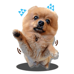 [LINEスタンプ] Mister Cookie