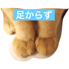 [LINEスタンプ] 猫の憂鬱2