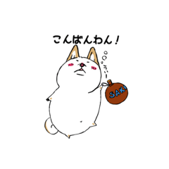 [LINEスタンプ] 白柴style01
