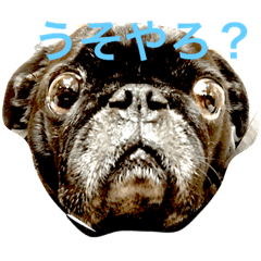 [LINEスタンプ] 男前カンナ君 3